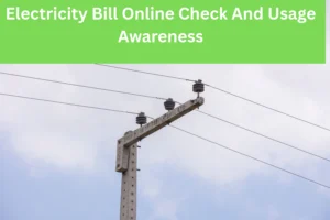 Electricity Bill Online Check And Usage Awareness